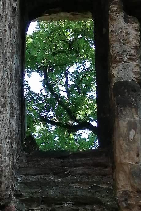 The Ruins of Seyssuel’s Castle